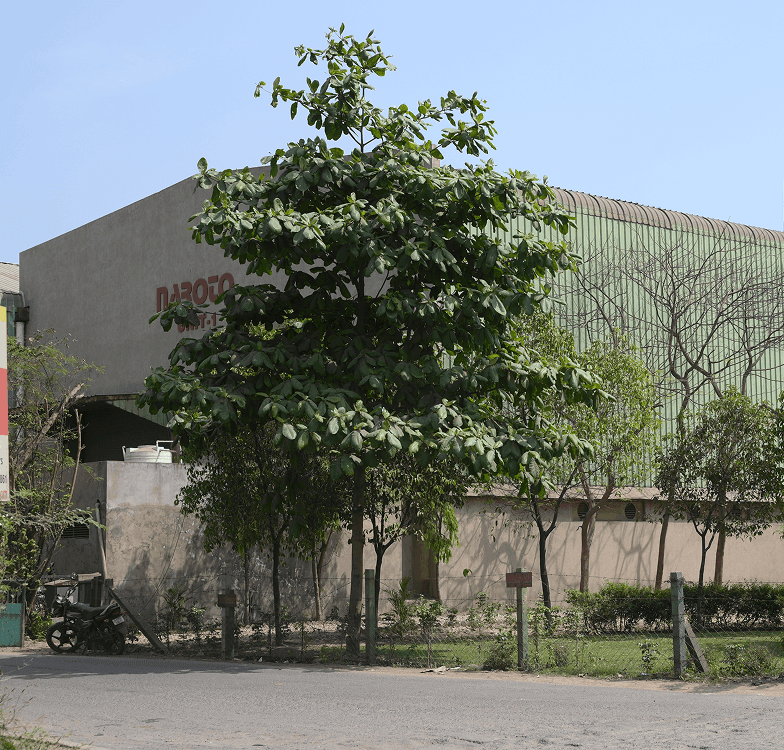 Redefining insulated Storage with Reliable Design.