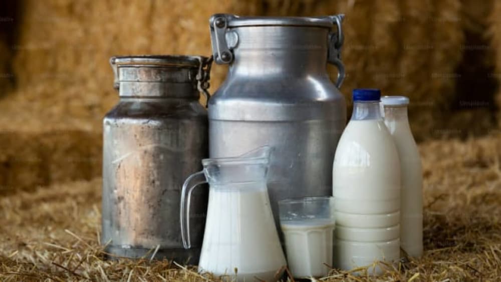 Dairy Co-Op Testimonial