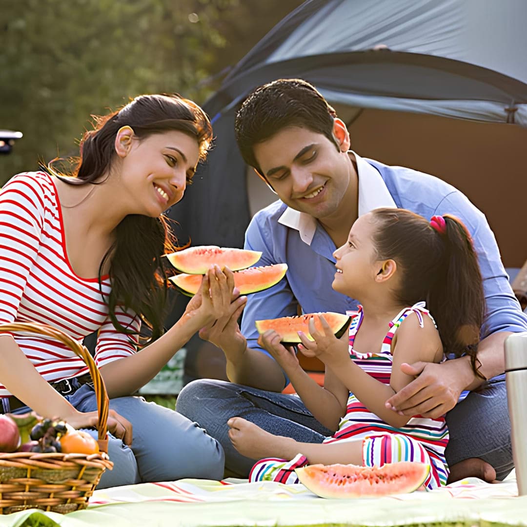 Best Containers for Summer Picnics